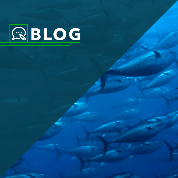 ¿Qué es la pesca sustentable de atún y por qué es clave para el Pacífico oriental?